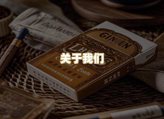 关于我们